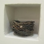 Nest detail
